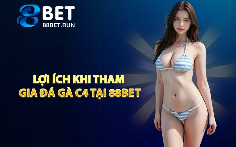 Lợi ích khi tham gia Đá Gà C4 tại 88BET